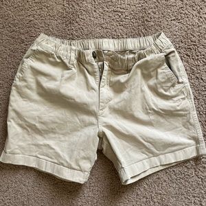 Men’s 5.5 inseam Chubbies shorts (medium)